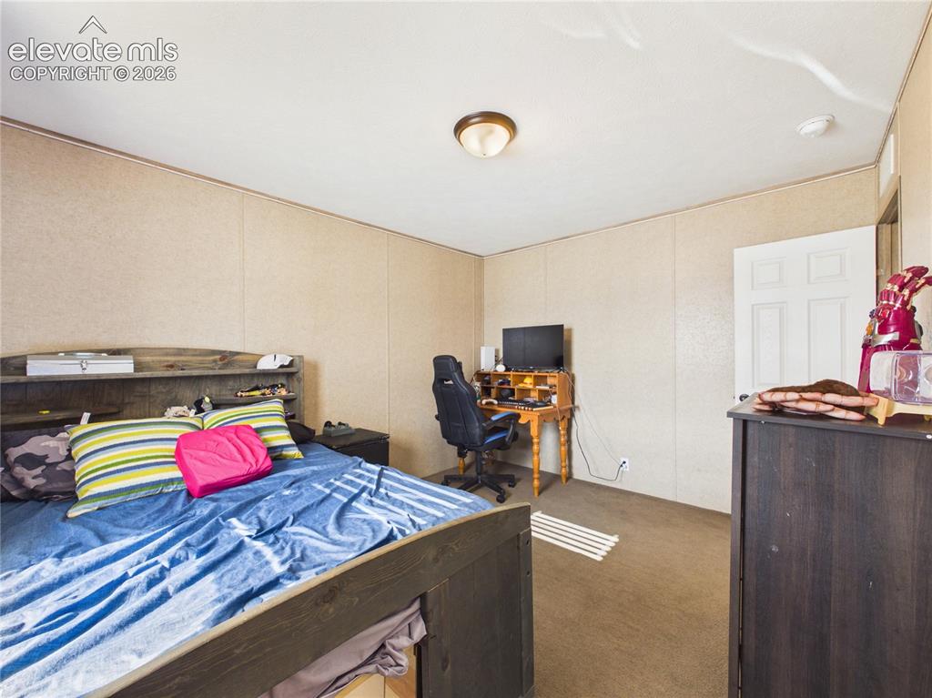 30868 Trent Drive Buena Vista CO 81211