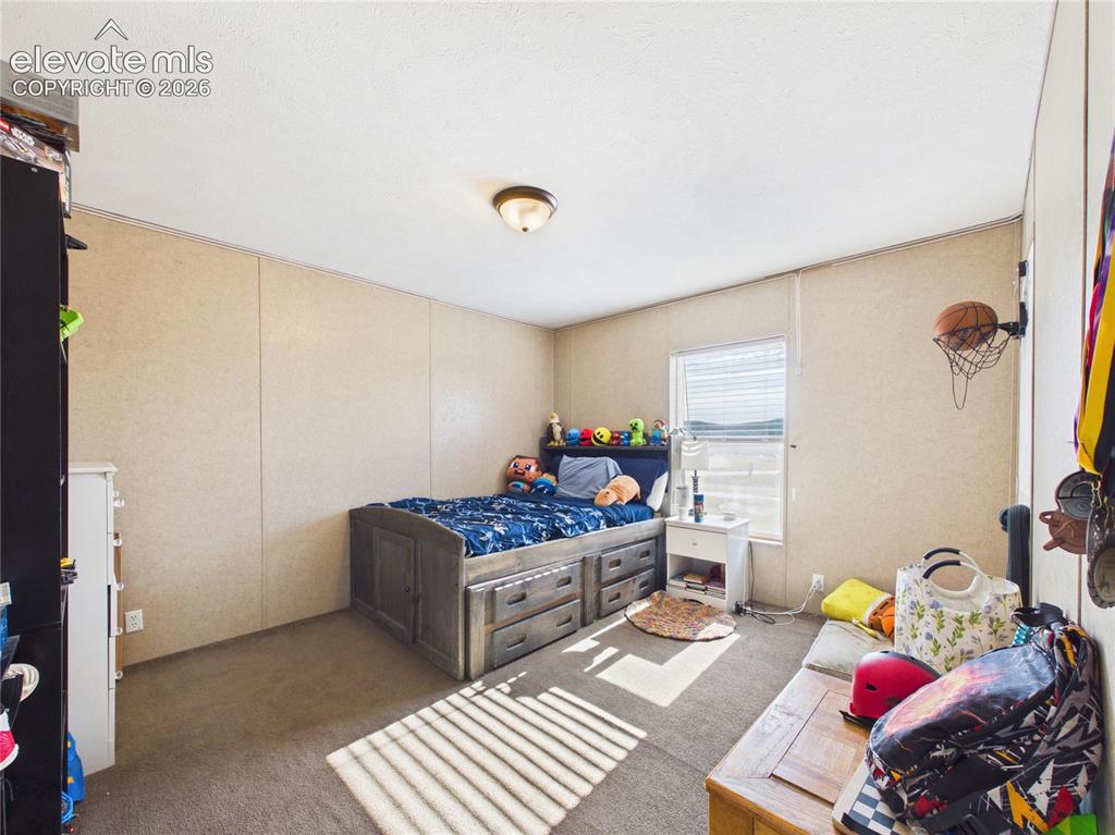 30868 Trent Drive Buena Vista CO 81211