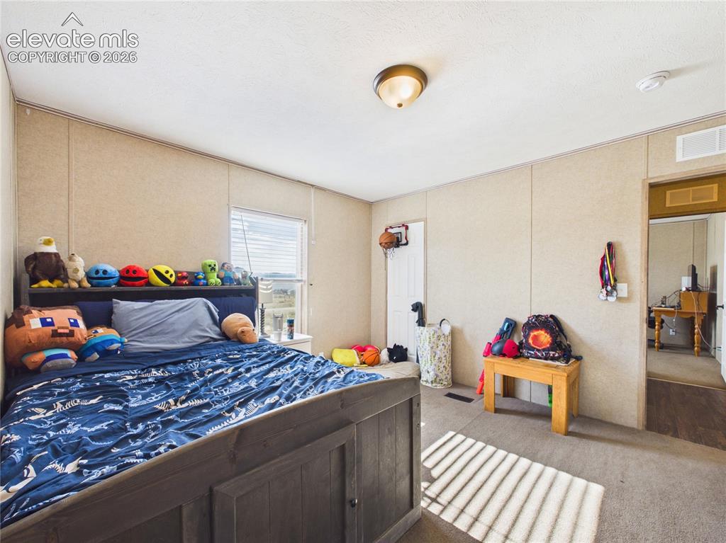 30868 Trent Drive Buena Vista CO 81211