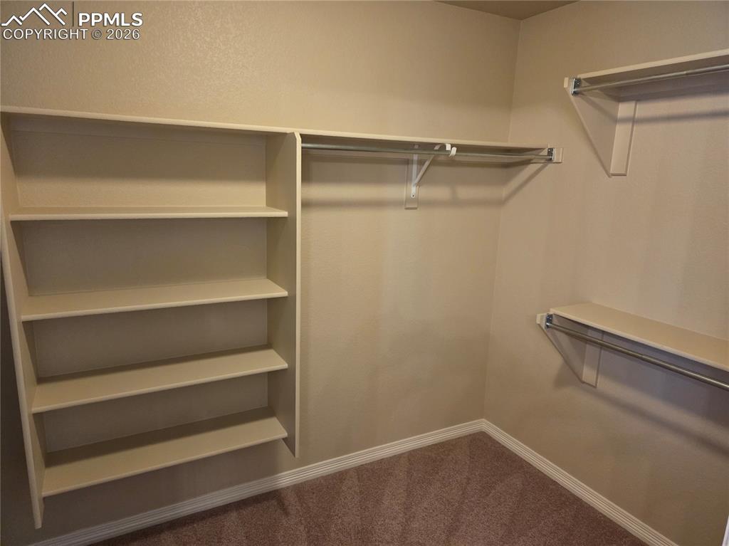 2304 Reed Grass Way Colorado Springs CO 80915