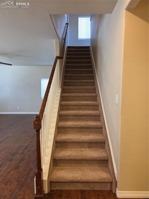 2304 Reed Grass Way Colorado Springs CO 80915