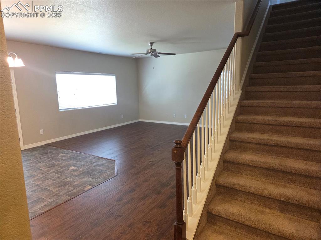 2304 Reed Grass Way Colorado Springs CO 80915