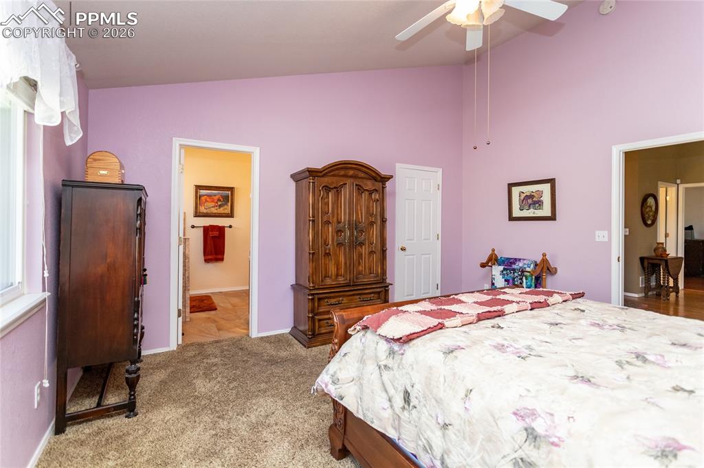 1250 Bison Ridge Drive Colorado Springs CO 80919
