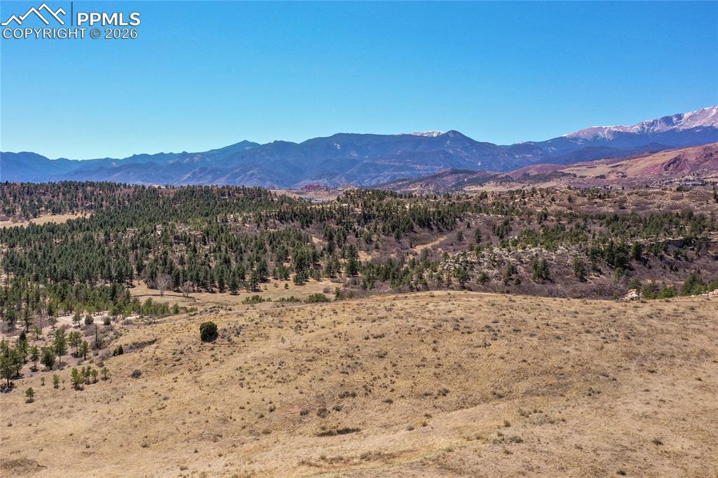 1250 Bison Ridge Drive Colorado Springs CO 80919