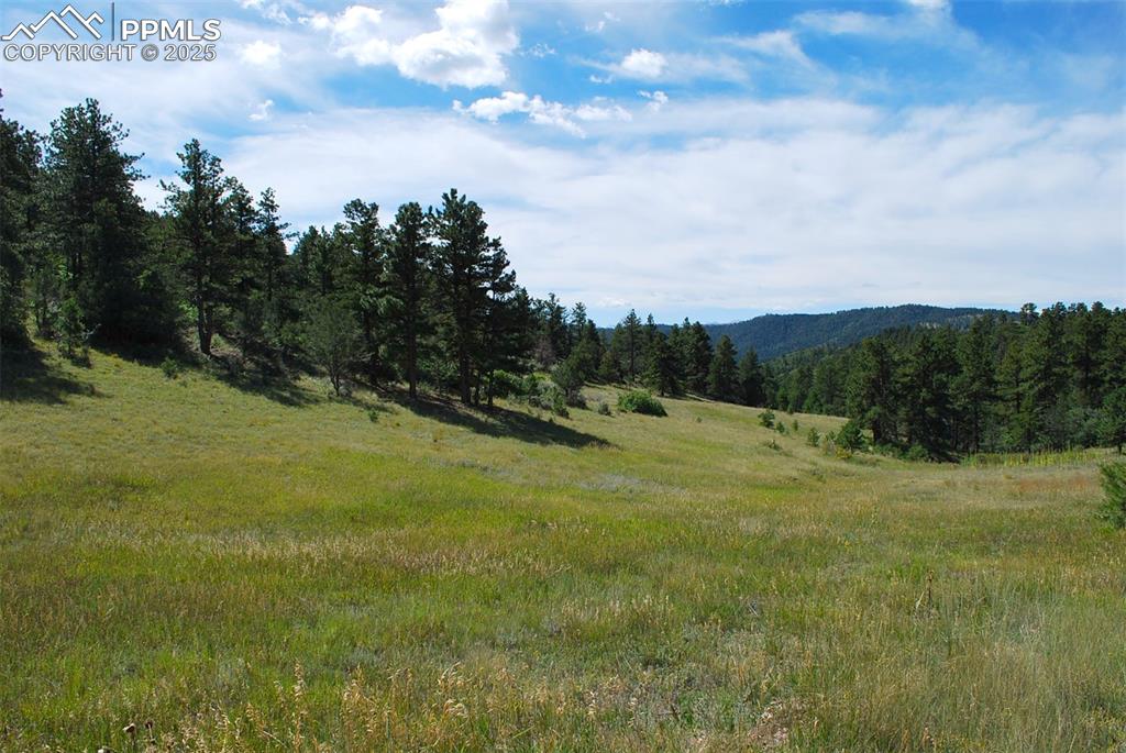 1410 Ranch Road Canon City CO 81212