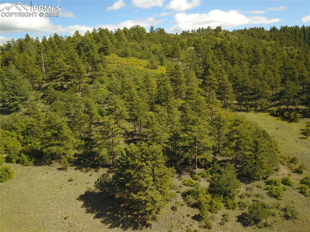 1410 Ranch Road Canon City CO 81212