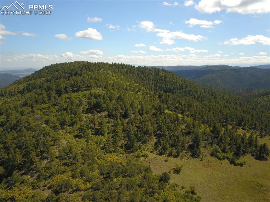 1410 Ranch Road Canon City CO 81212