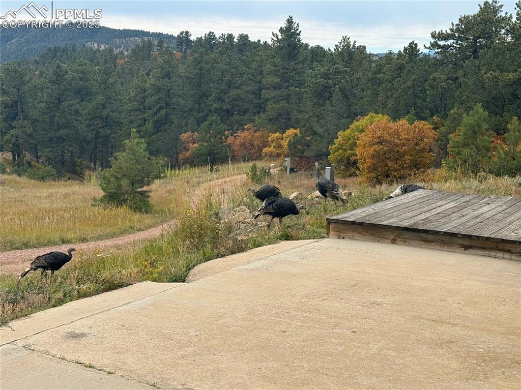 1410 Ranch Road Canon City CO 81212