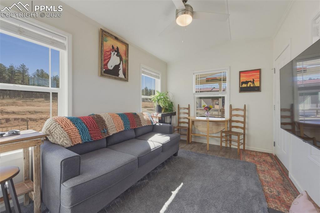 1311 Calm Mountain Point Woodland Park CO 80863