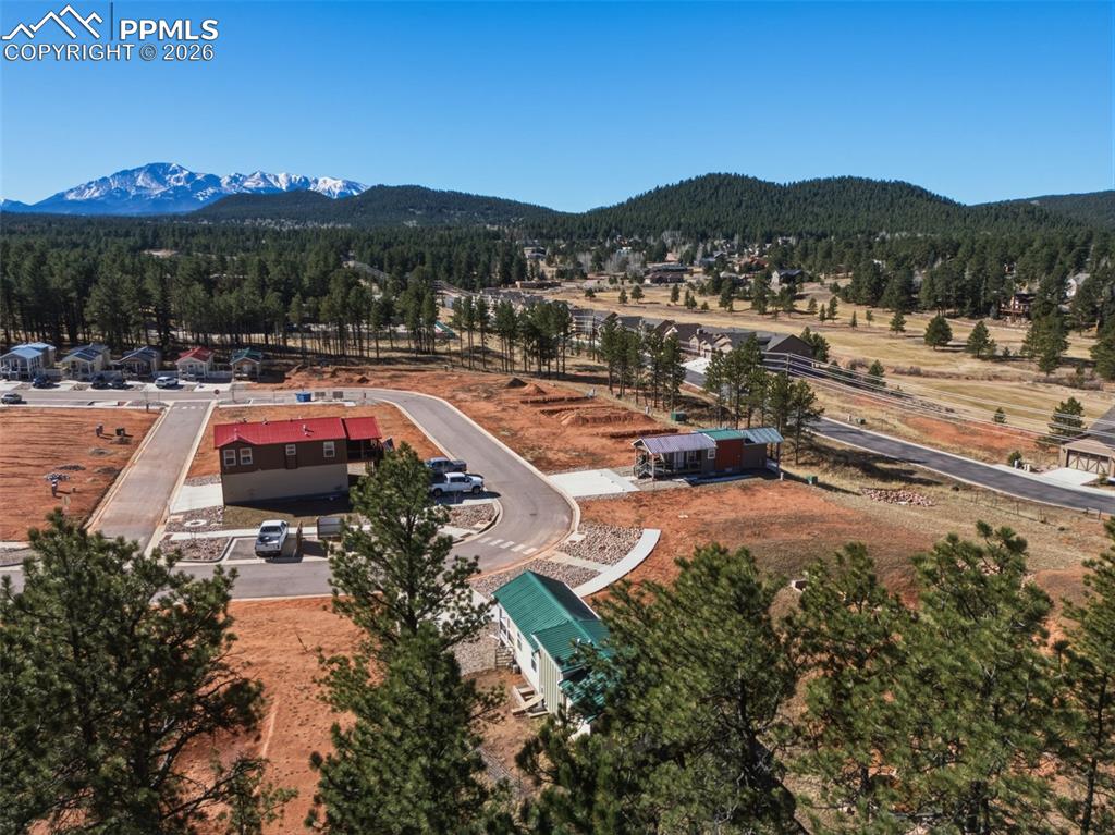 1311 Calm Mountain Point Woodland Park CO 80863