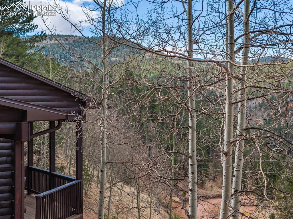 60 Beaver Pond Road Divide CO 80814