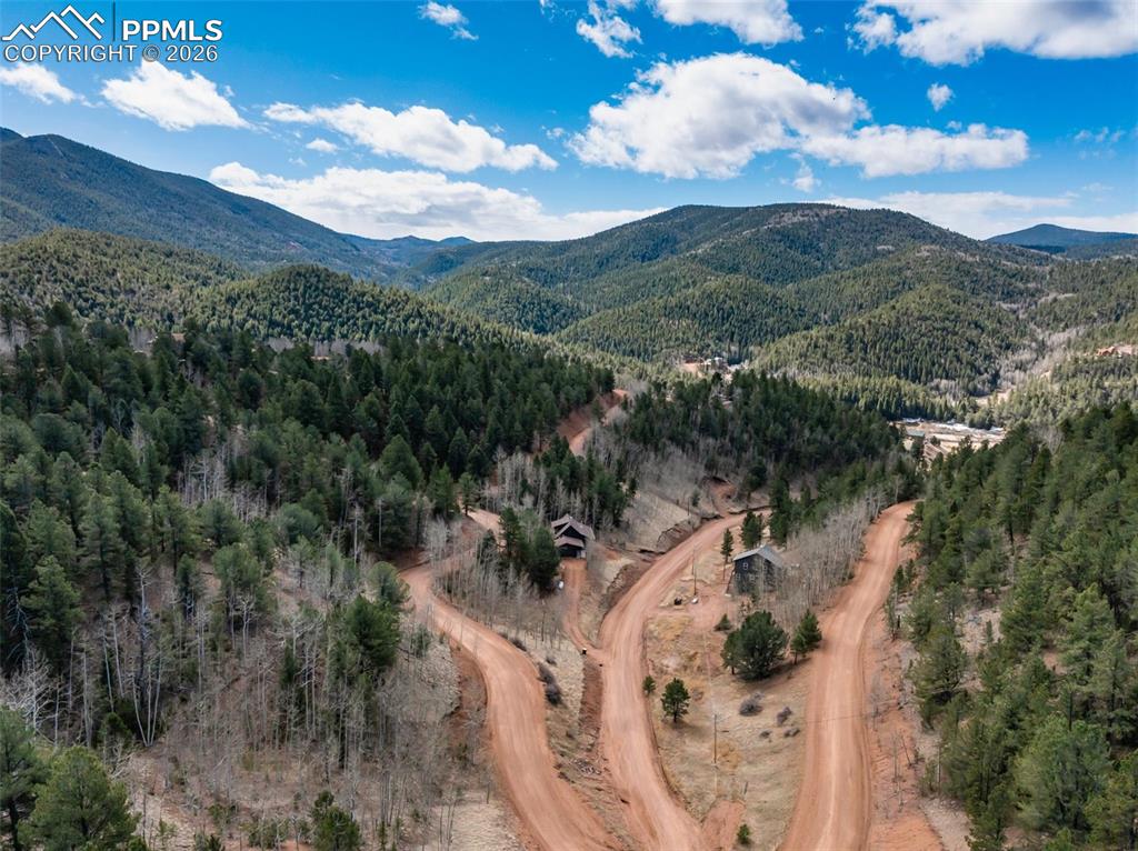 60 Beaver Pond Road Divide CO 80814