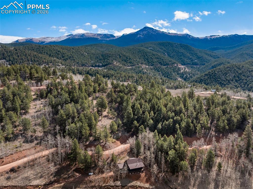 60 Beaver Pond Road Divide CO 80814