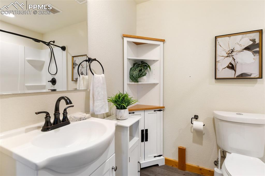 60 Beaver Pond Road Divide CO 80814