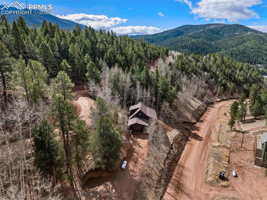 60 Beaver Pond Road Divide CO 80814