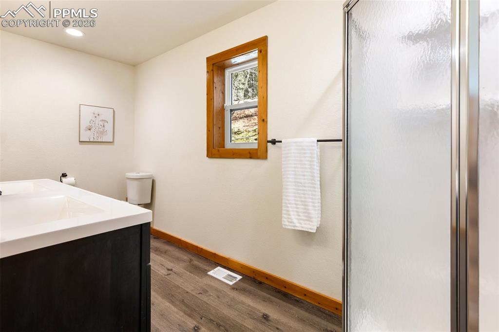 60 Beaver Pond Road Divide CO 80814