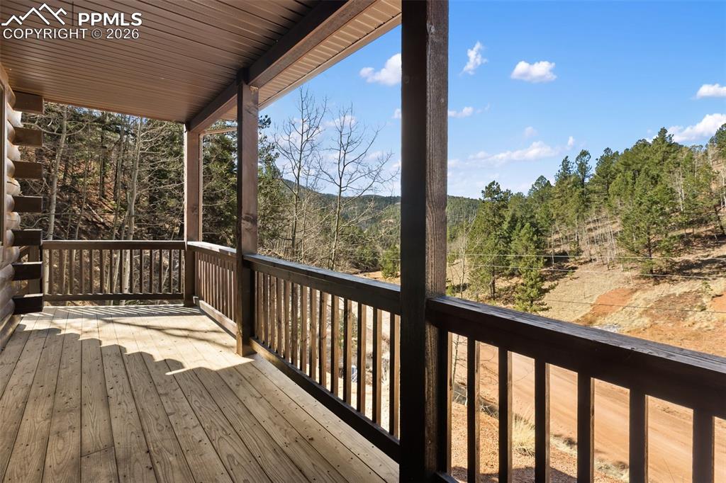 60 Beaver Pond Road Divide CO 80814