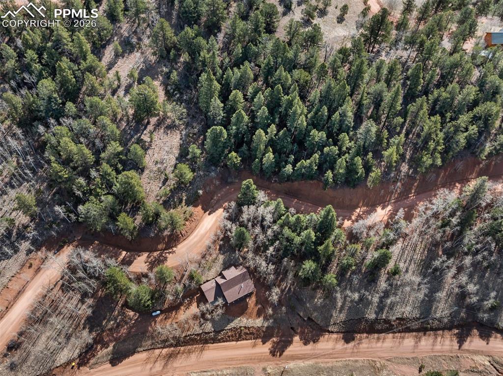 60 Beaver Pond Road Divide CO 80814