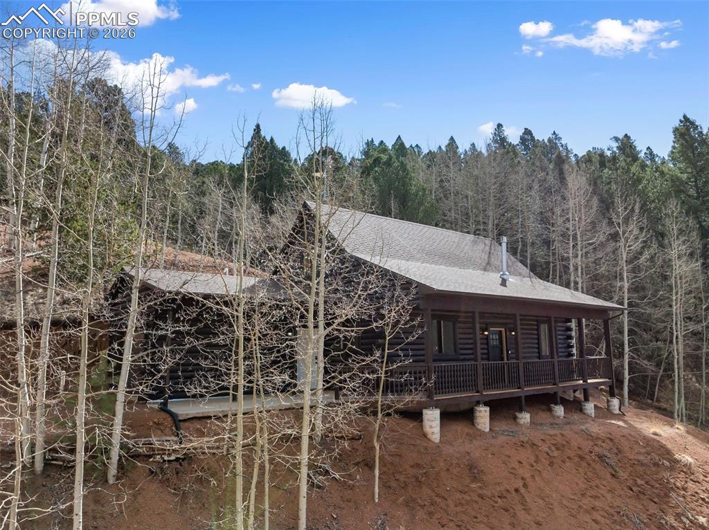 60 Beaver Pond Road Divide CO 80814