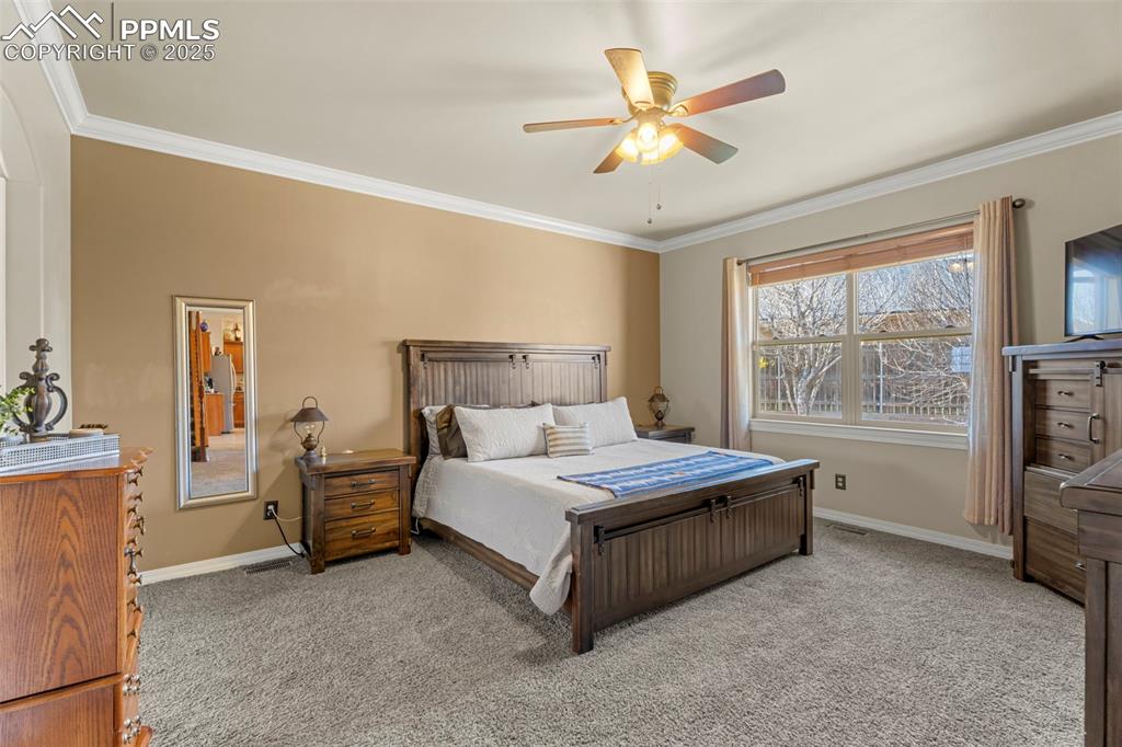 2097 Towhee Court Pueblo CO 81008