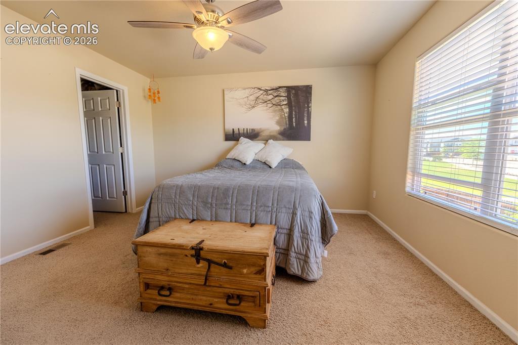 7386 Quaking Aspen Trail Colorado Springs CO 80908