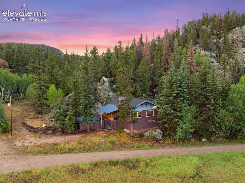 534 Brook Drive Lake George CO 80827