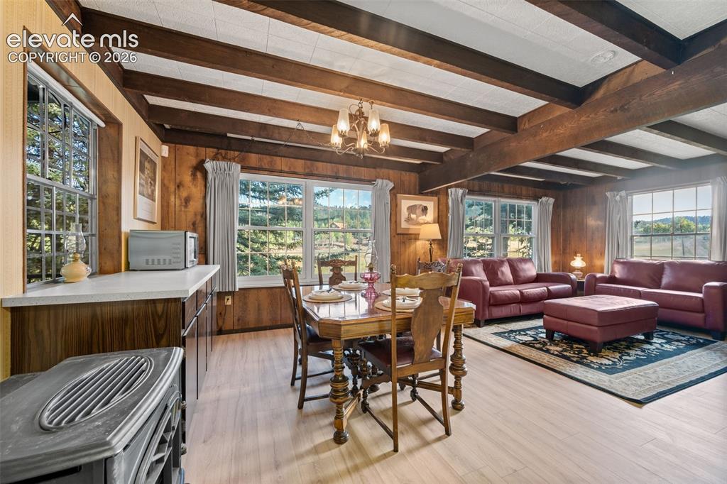 534 Brook Drive Lake George CO 80827