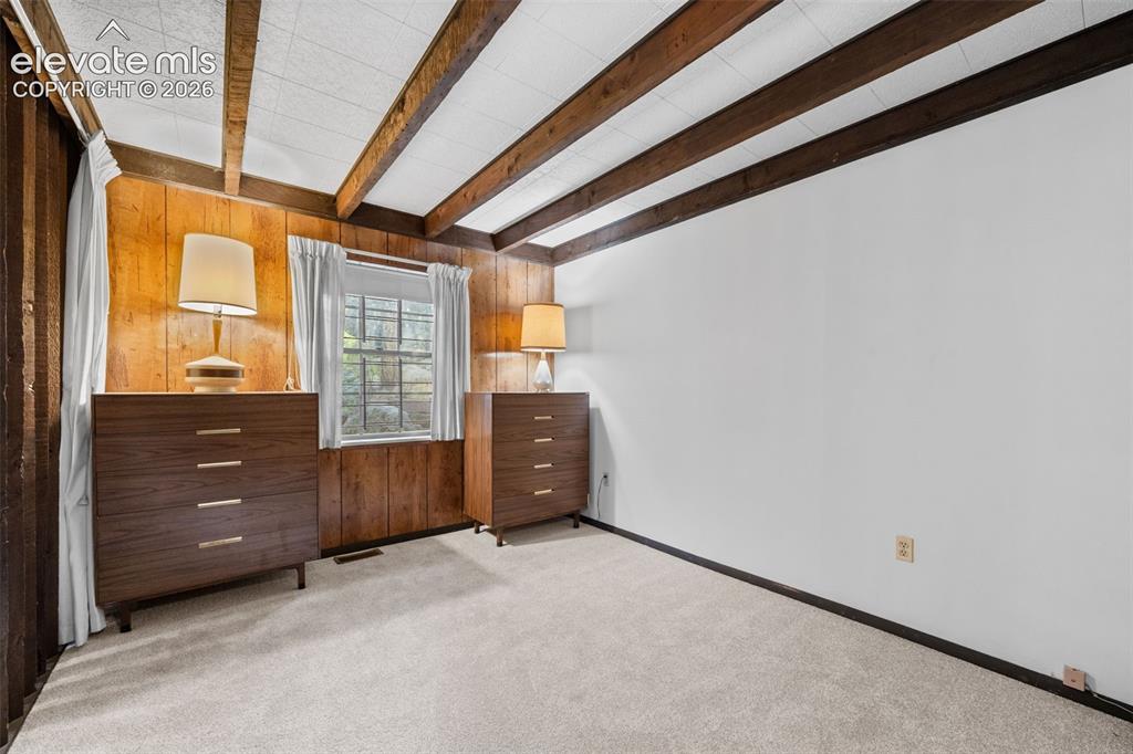 534 Brook Drive Lake George CO 80827