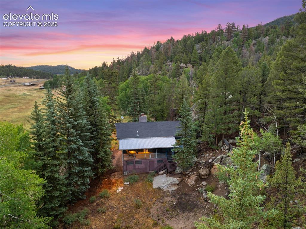 534 Brook Drive Lake George CO 80827