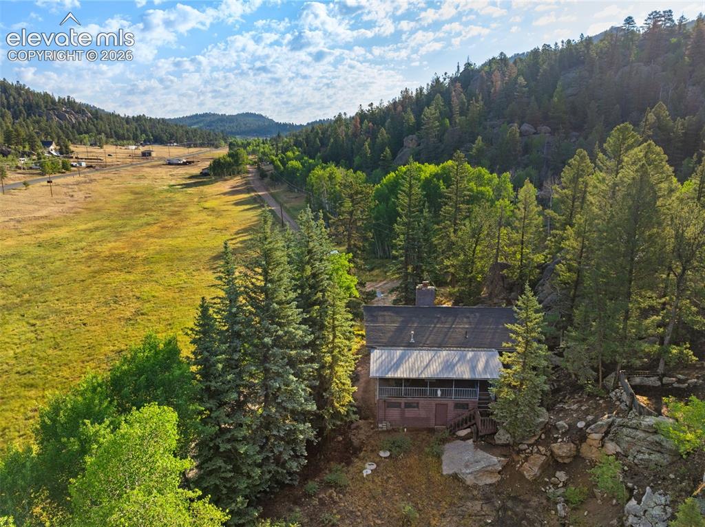 534 Brook Drive Lake George CO 80827
