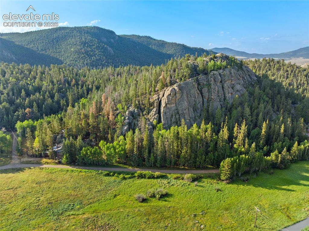 534 Brook Drive Lake George CO 80827
