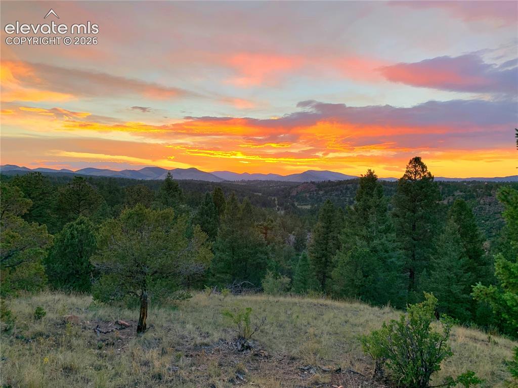 986 Apache Road Florissant CO 80816