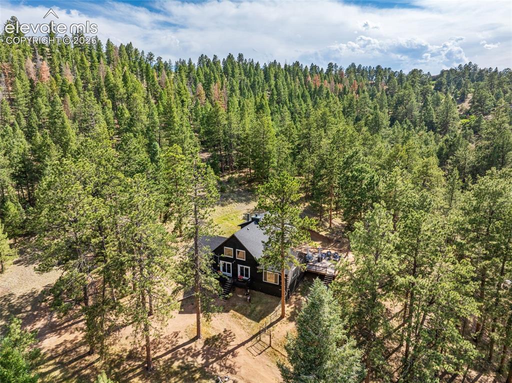 986 Apache Road Florissant CO 80816