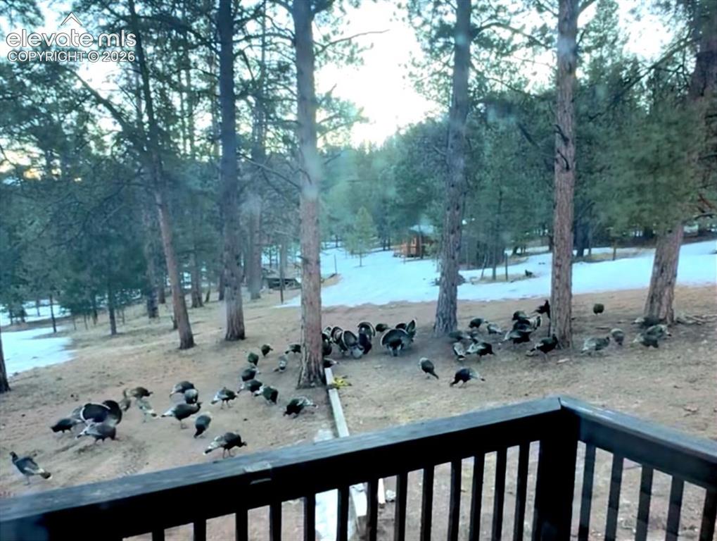 986 Apache Road Florissant CO 80816
