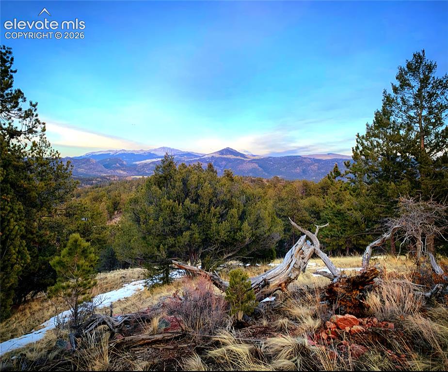 986 Apache Road Florissant CO 80816