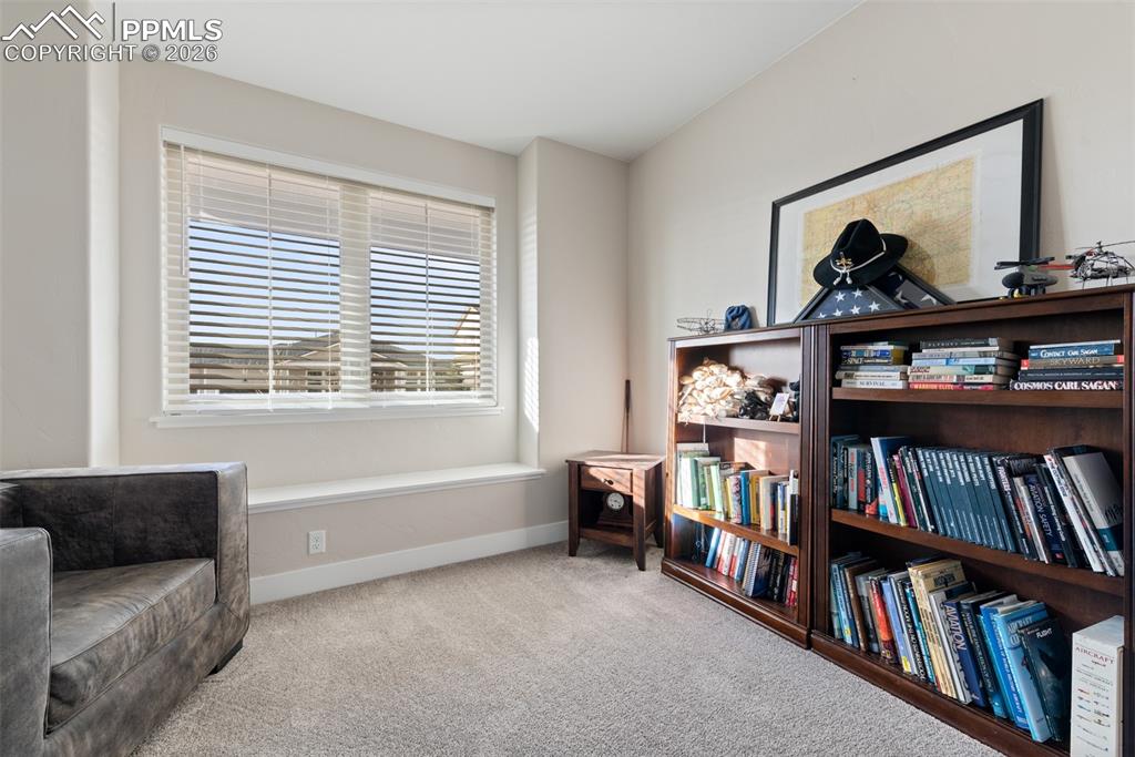 1154 Lady Campbell Drive Colorado Springs CO 80905