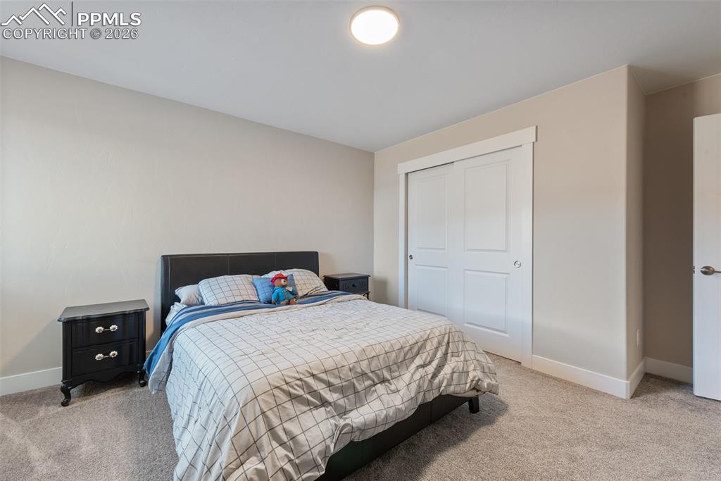 1154 Lady Campbell Drive Colorado Springs CO 80905
