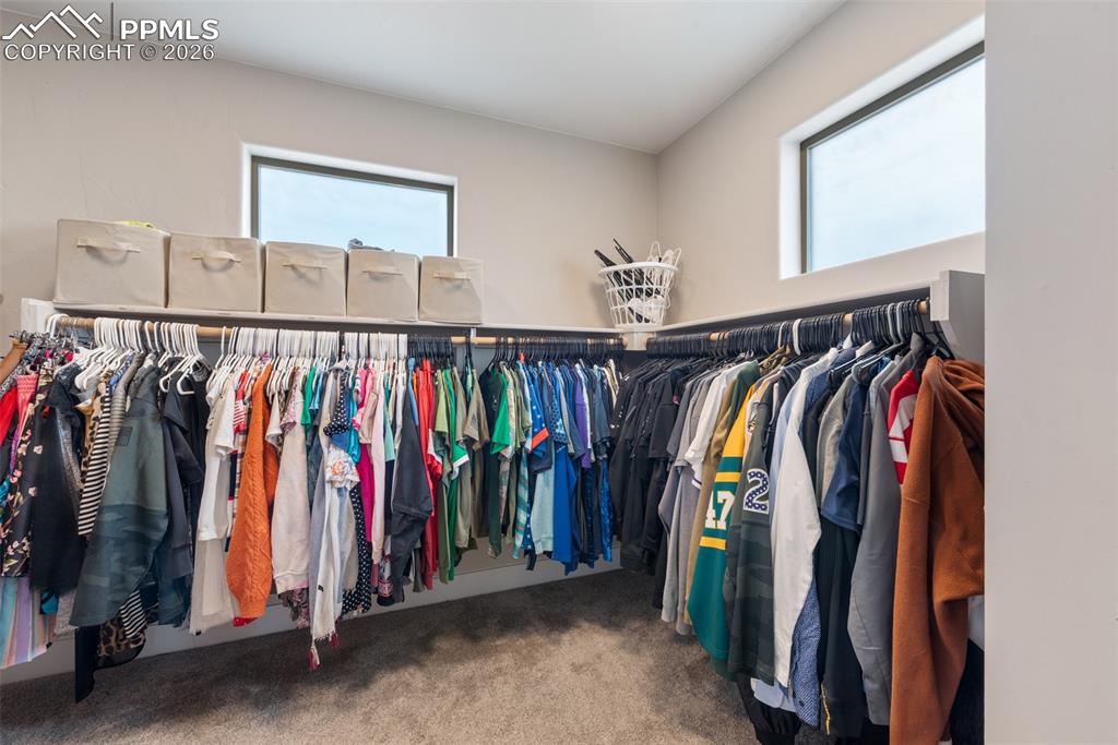 1154 Lady Campbell Drive Colorado Springs CO 80905