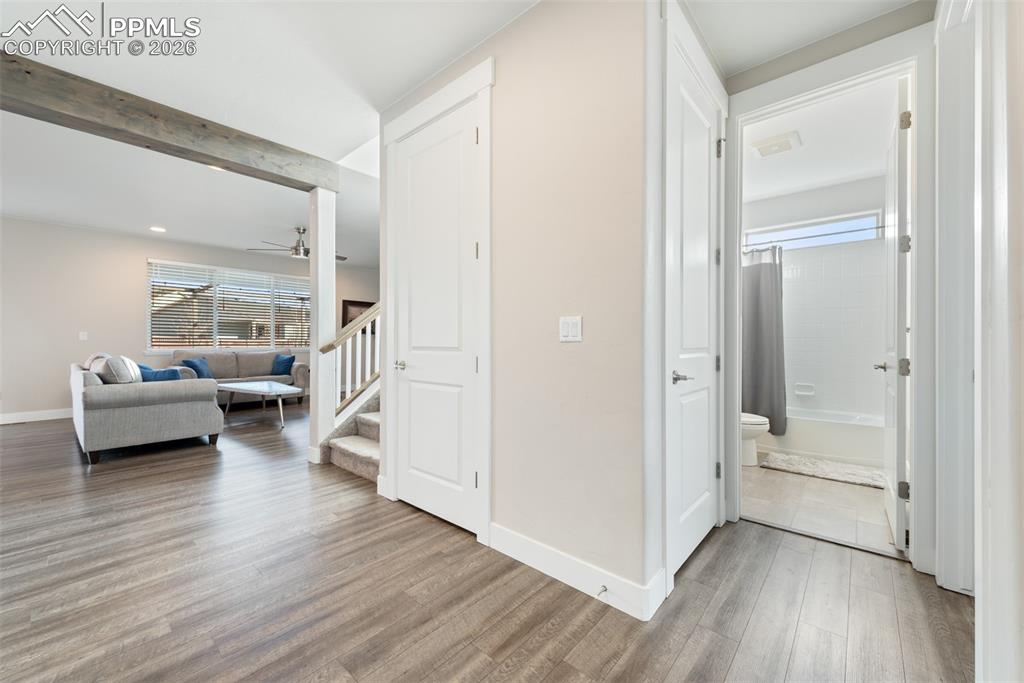 1154 Lady Campbell Drive Colorado Springs CO 80905