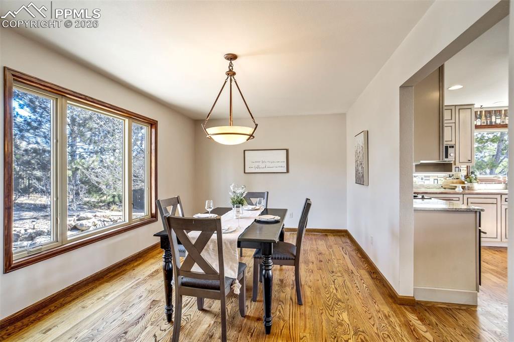 4323 Roundtree Court Colorado Springs CO 80915
