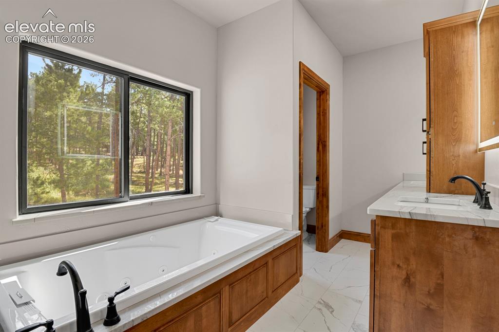 19020 Burnt Leaf Way Monument CO 80132