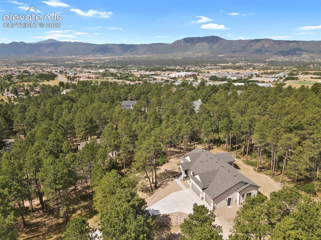 19020 Burnt Leaf Way Monument CO 80132