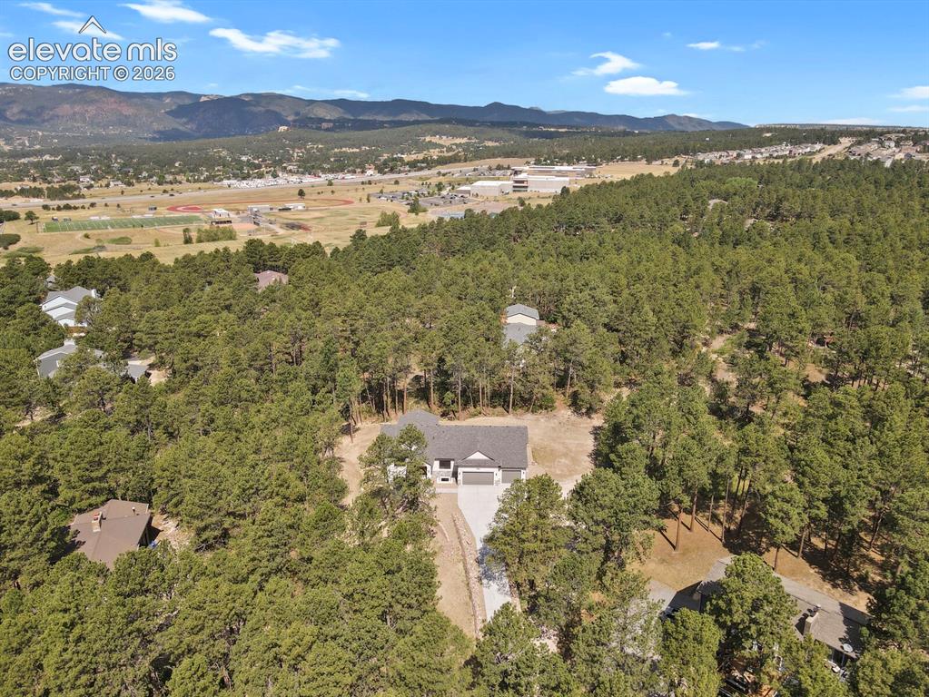 19020 Burnt Leaf Way Monument CO 80132