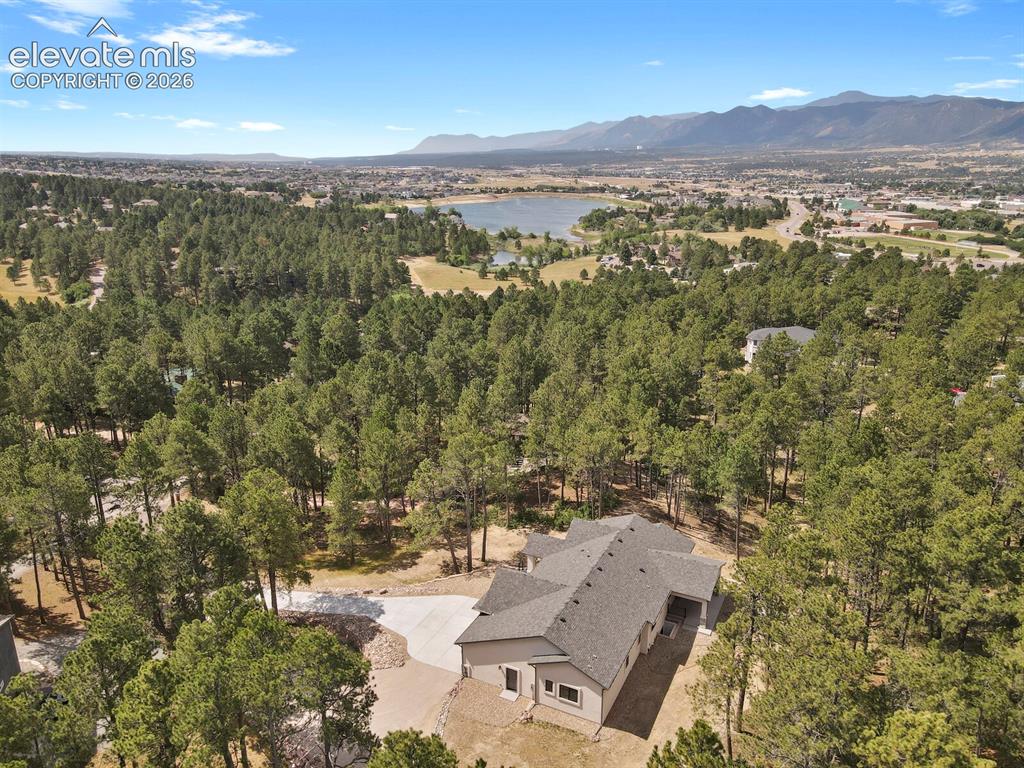 19020 Burnt Leaf Way Monument CO 80132