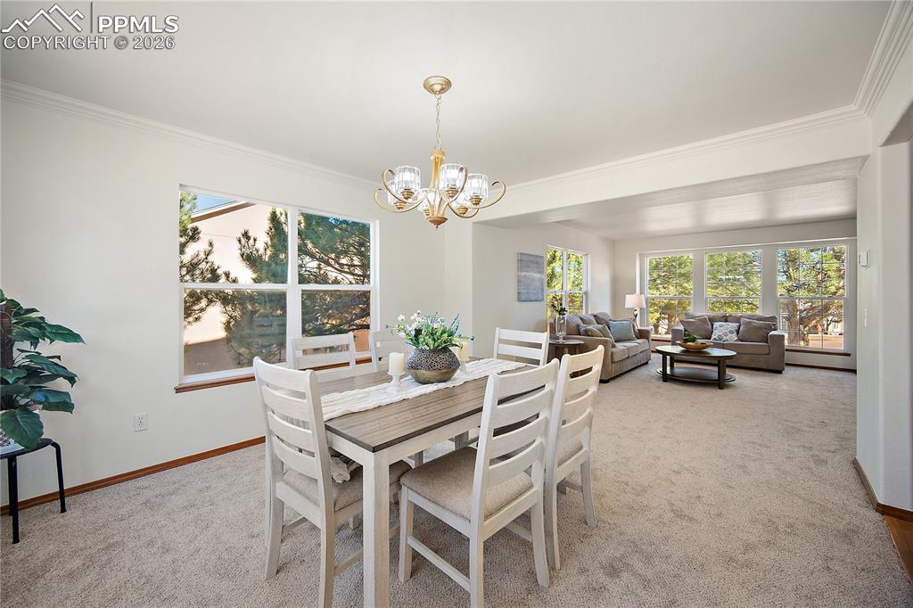 5630 Mercer Drive Colorado Springs CO 80918