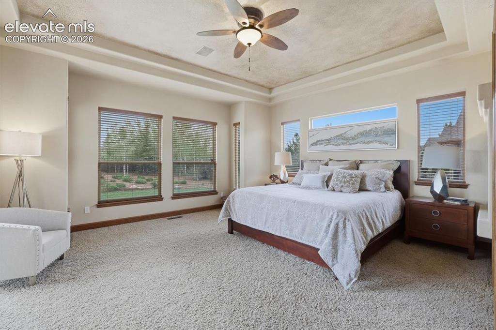 13485 Cedarville Way Colorado Springs CO 80921