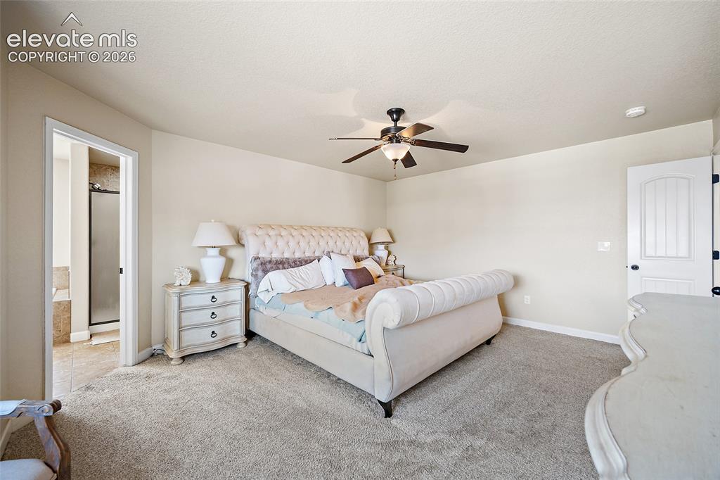 6687 Stingray Lane Colorado Springs CO 80925