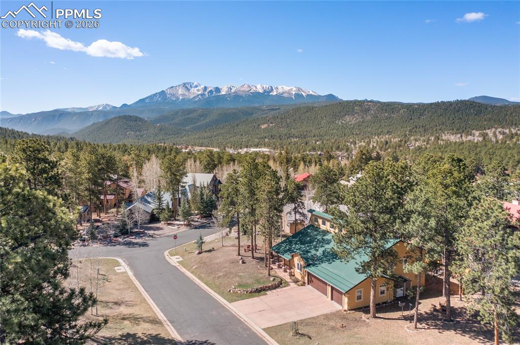 311 Panther Court Woodland Park CO 80863