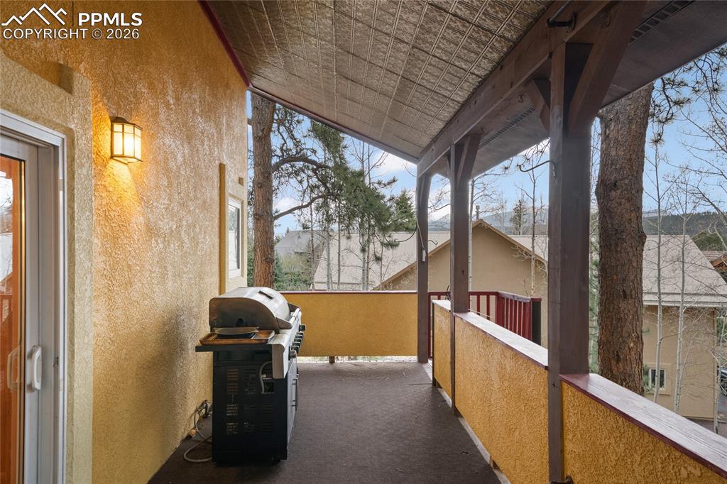 311 Panther Court Woodland Park CO 80863