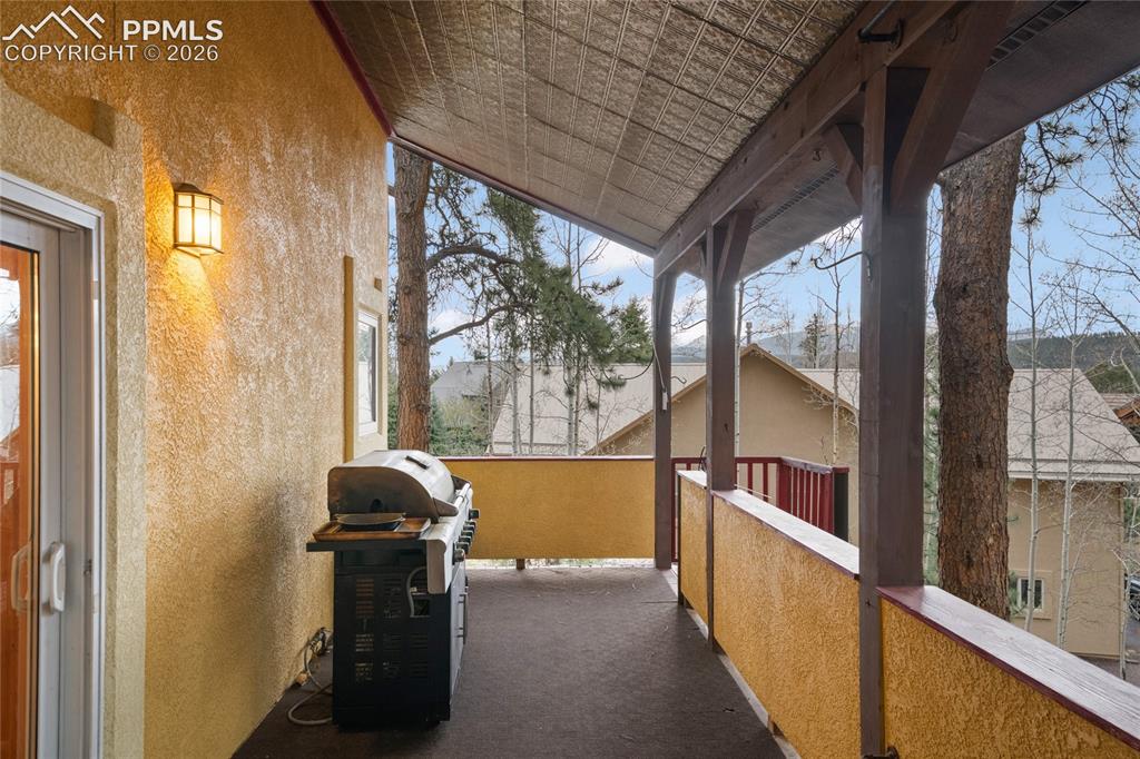 311 Panther Court Woodland Park CO 80863